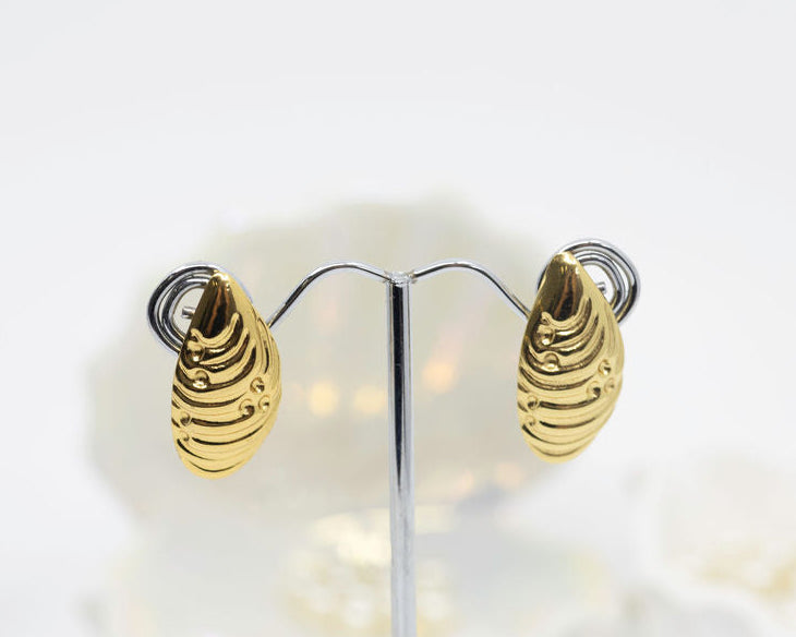 Gold shell earrings on a white background